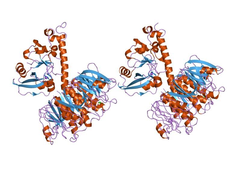 File:PDB 1s5e EBI.jpg