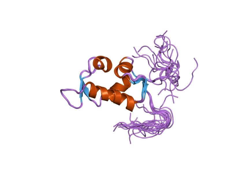 File:PDB 1uhr EBI.jpg