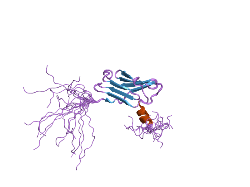 File:PDB 1x5m EBI.png