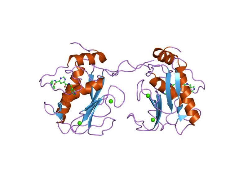 File:PDB 1xur EBI.jpg