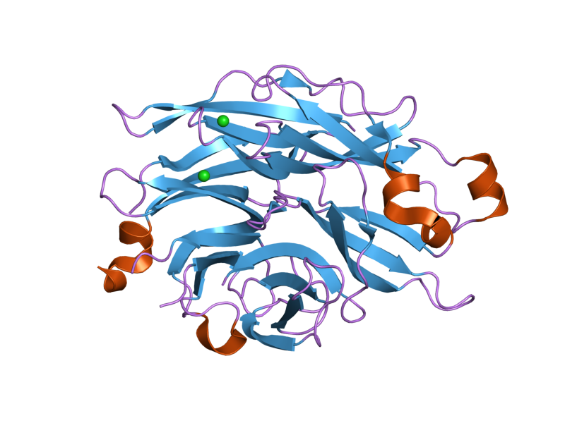 File:PDB 2f28 EBI.png