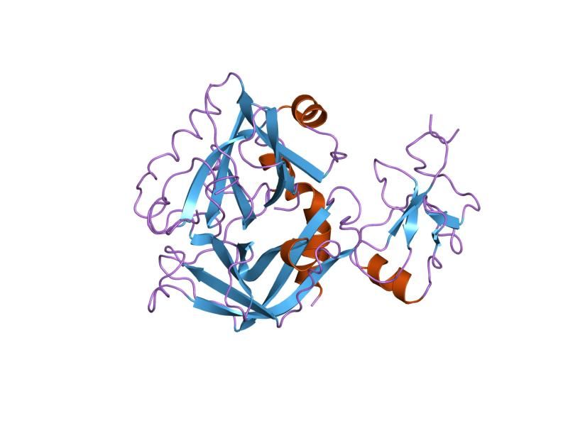 File:PDB 2hpp EBI.jpg