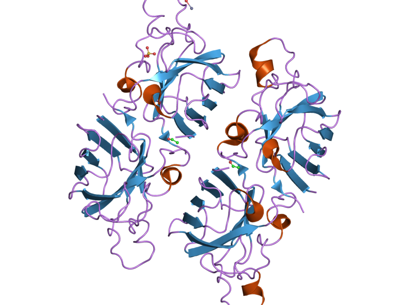 File:PDB 2nnx EBI.png