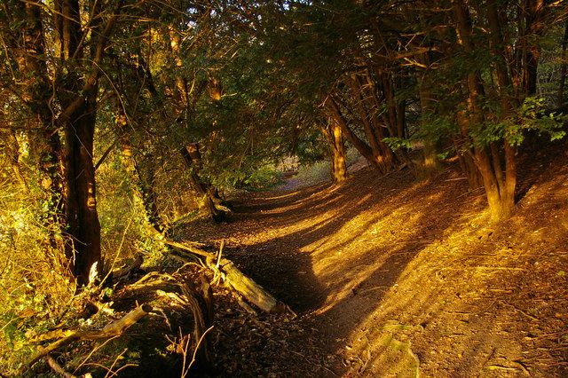 File:Pilgrims Way - geograph.org.uk - 621078.jpg