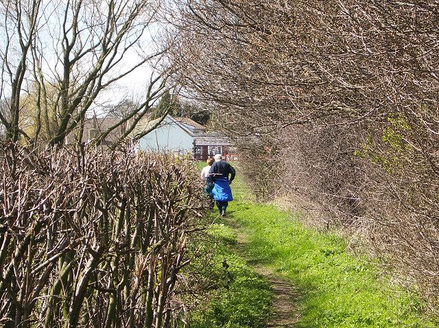 File:Swillington - Footpath, Hollinthorpe.jpg