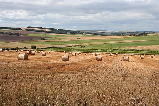 File:Tifty Burn - geograph.org.uk - 563137.jpg