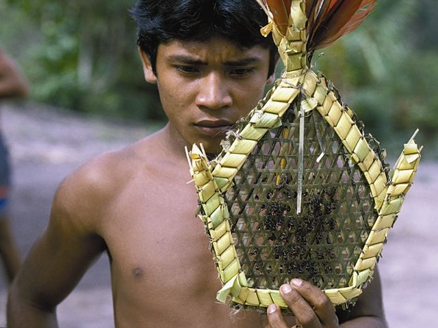 File:Tucandeira ritual - panoramio.jpg