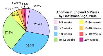 File:UKAbortionbyGestationalAgeChart2004.png