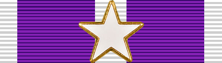 File:USA - TX Purple Heart Ribbon.png