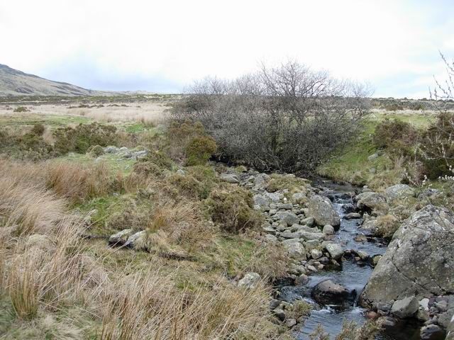 File:Afon Dulyn - geograph.org.uk - 157496.jpg