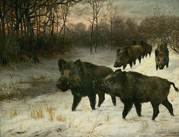 File:Anton Schmitz Wildschweine 1882.jpg