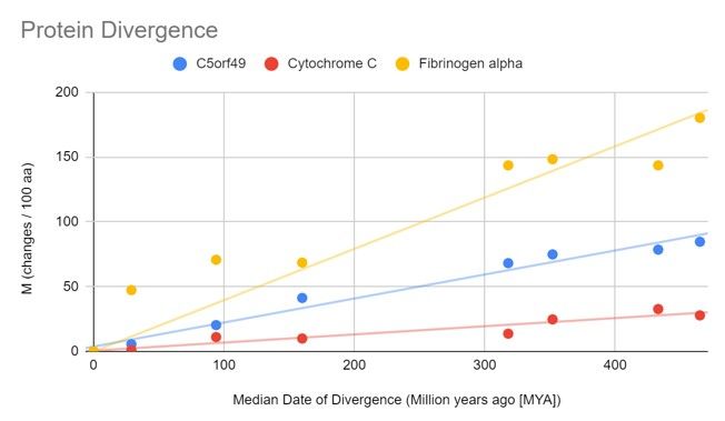 File:C5orf49 protein divergence graph.jpg