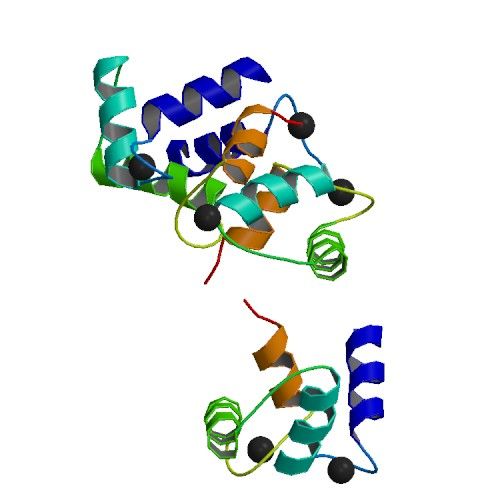 File:Calmodulin C-terminal.jpg