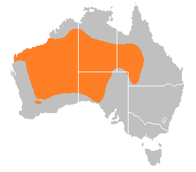 File:Ctenophorus isolepis distribution.png