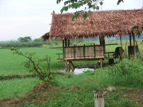 File:Damara or Farmer's Shed.jpg