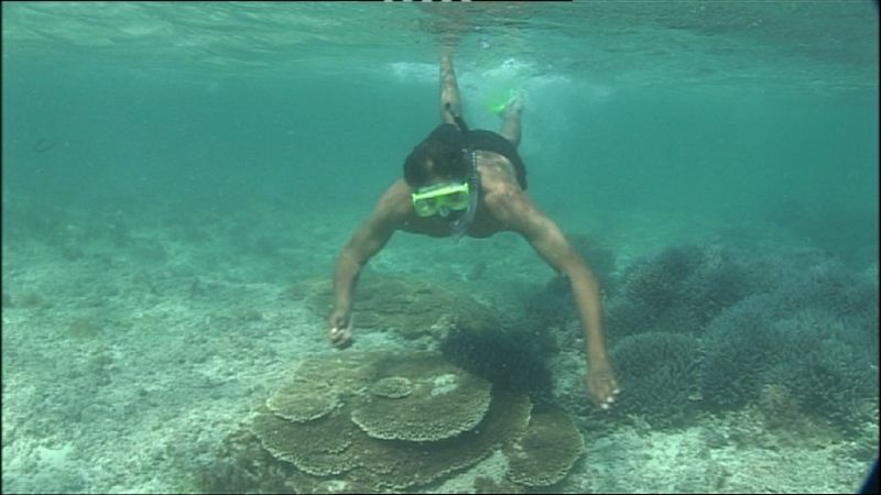 File:Ernie Dingo diving at the Houtman Abrolhos.jpg