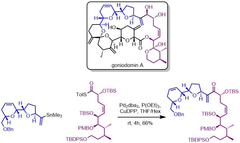 File:Goniodomin.jpg