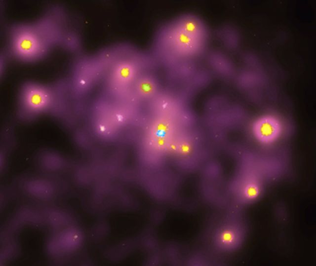 File:M31 Core in X-rays.jpg