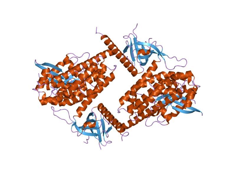 File:PDB 1kzg EBI.jpg