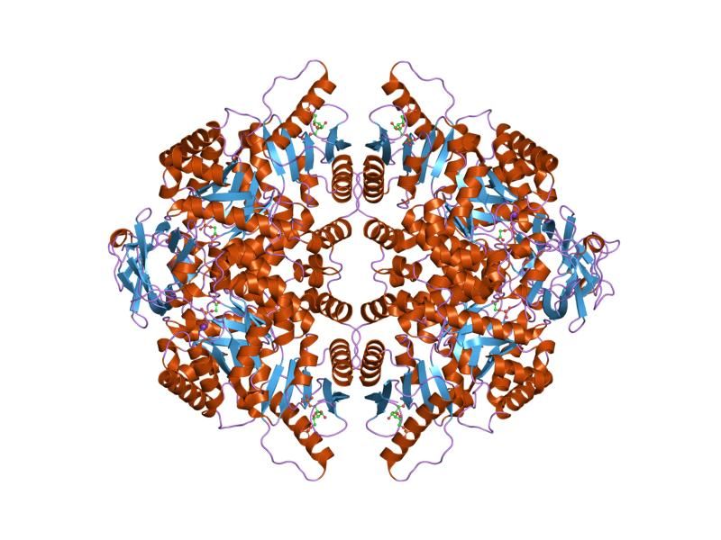 File:PDB 1liu EBI.jpg