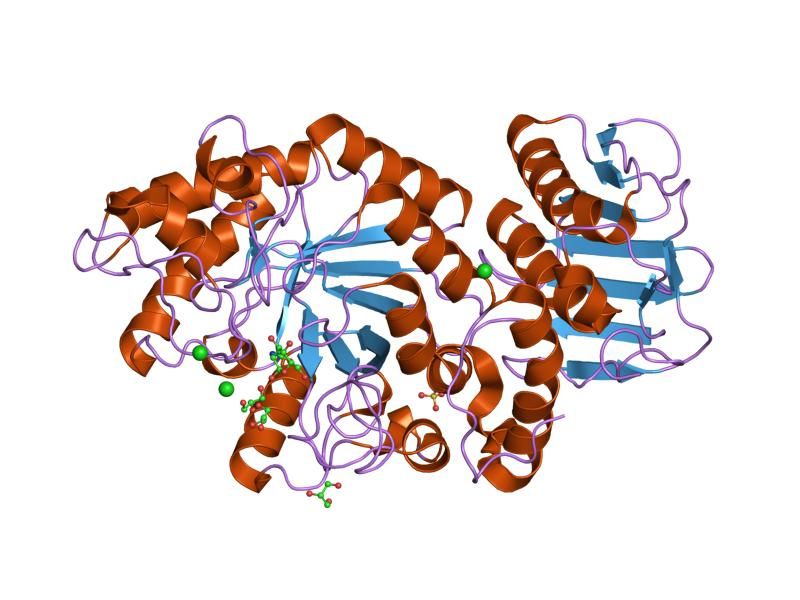 File:PDB 1m01 EBI.jpg