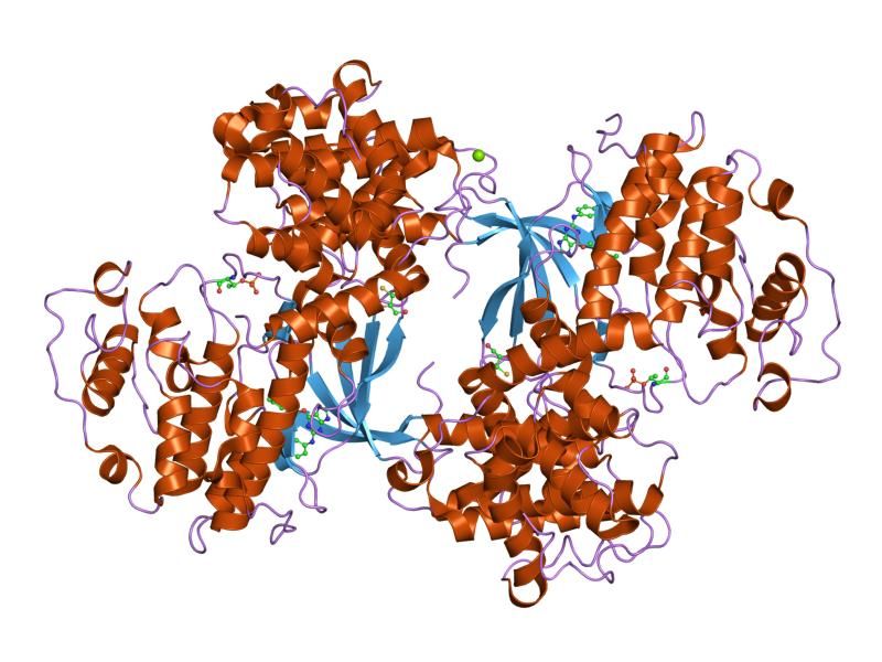 File:PDB 1oiy EBI.jpg