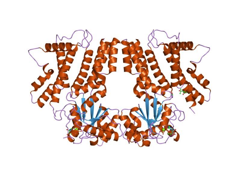 File:PDB 1tpz EBI.jpg