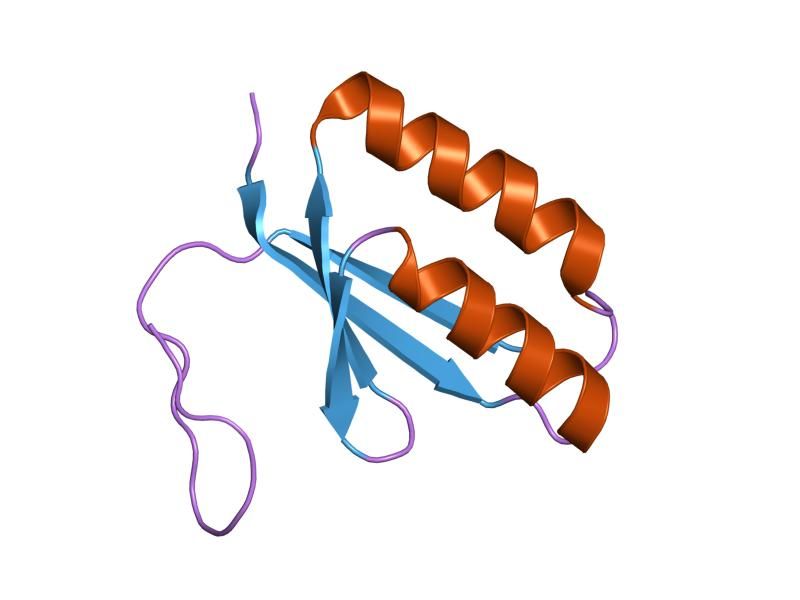 File:PDB 1zpw EBI.jpg