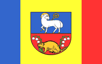 File:POL powiat lidzbarski flag.png