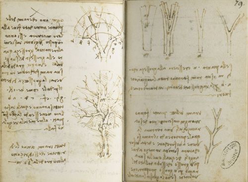 File:Paris Manuscript M Fol 78v79r.jpg