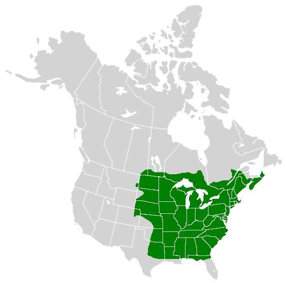 File:Polygonia comma range map.JPG