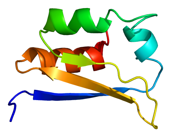 File:Protein HDLBP PDB 1vig.png