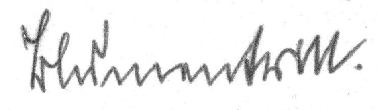 File:Signature Blumentritt 8-1941 BArch RH20-4-1210.jpg