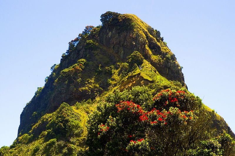 File:Waitakere Piha n.jpg