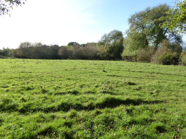 File:Bray Meadows (5).jpg