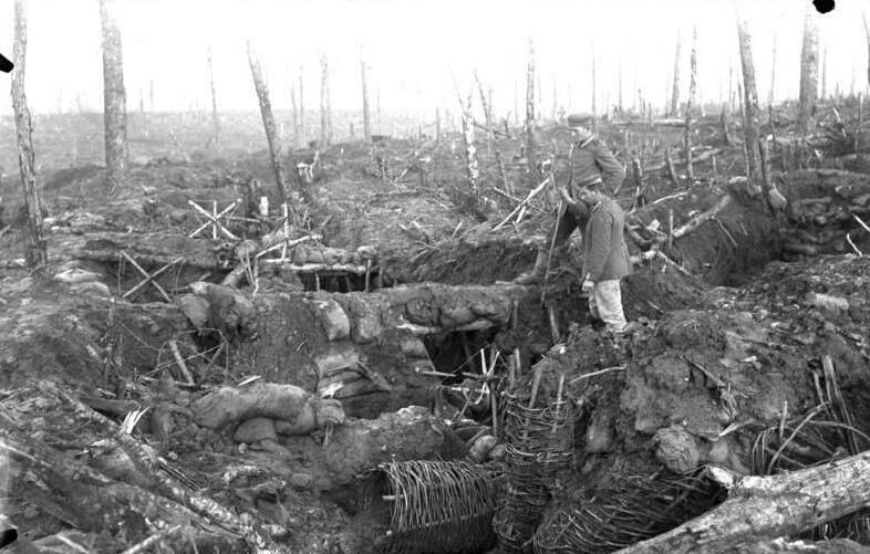 File:Bundesarchiv Bild 104-0152, Argonnen, zerschossener Wald, Stellung.jpg