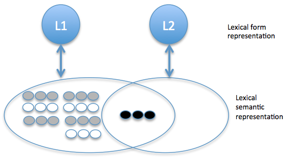 File:Finkbeiner et al. Sense Model.png