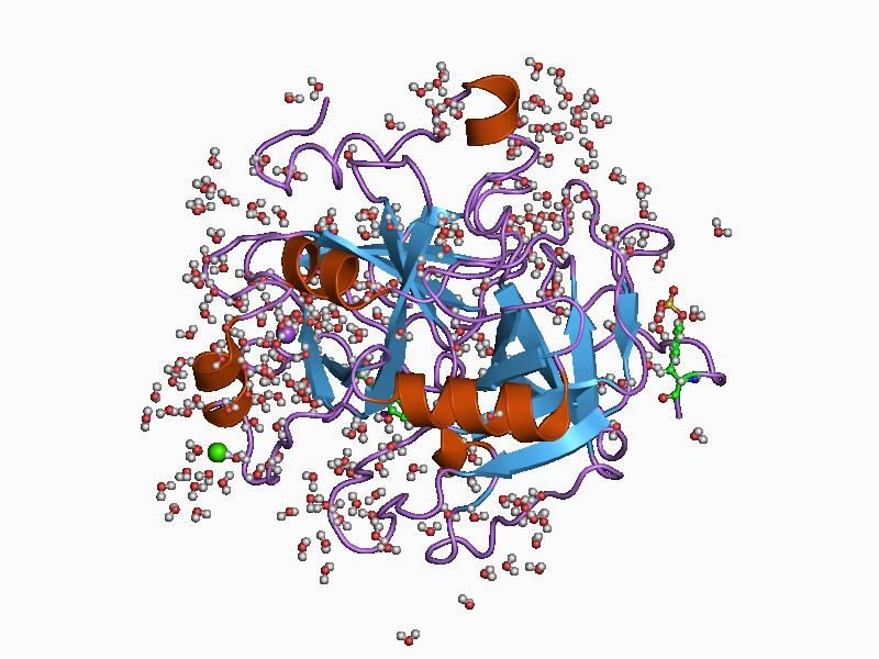 File:PDB 1c5n EBI.jpg