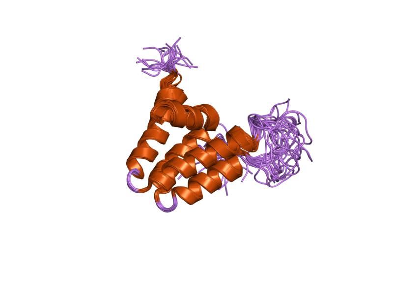 File:PDB 1e91 EBI.jpg