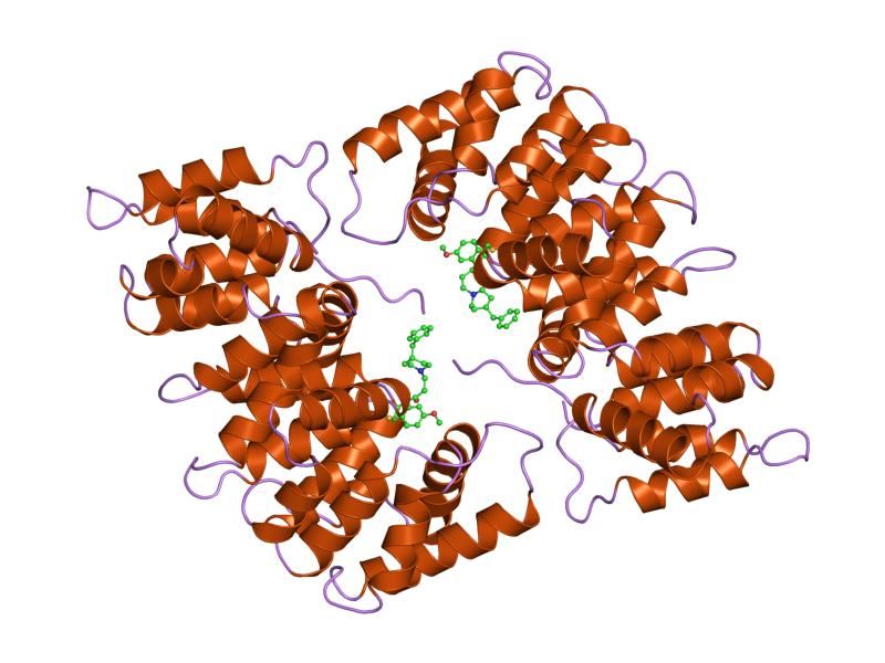 File:PDB 1hak EBI.jpg