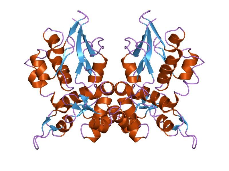 File:PDB 1lm7 EBI.jpg