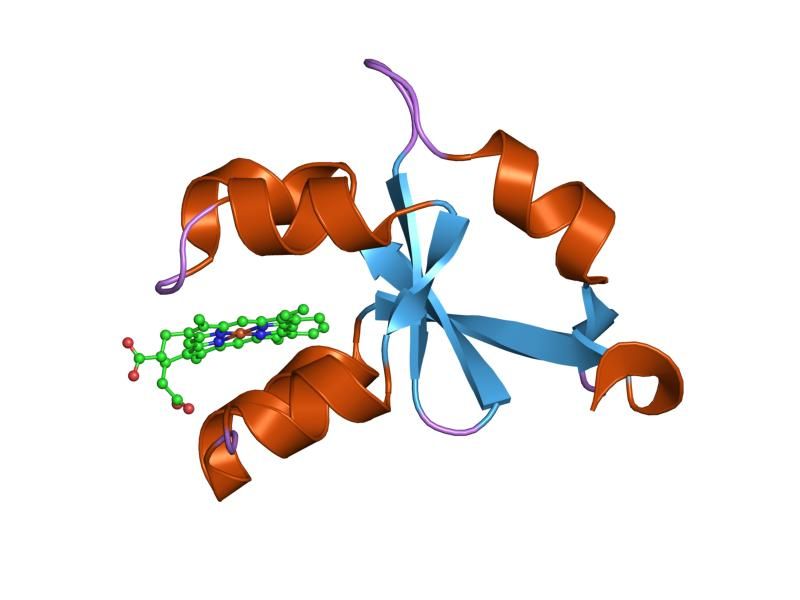 File:PDB 1lr6 EBI.jpg