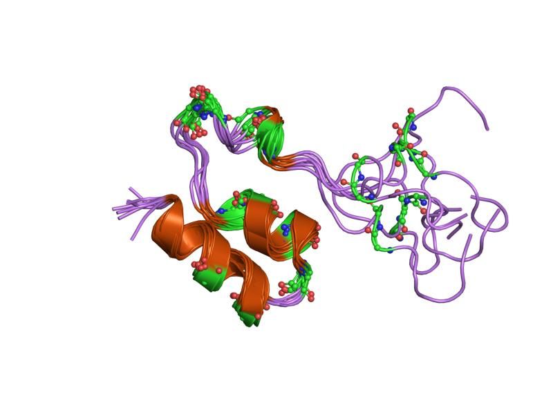 File:PDB 1mgx EBI.jpg