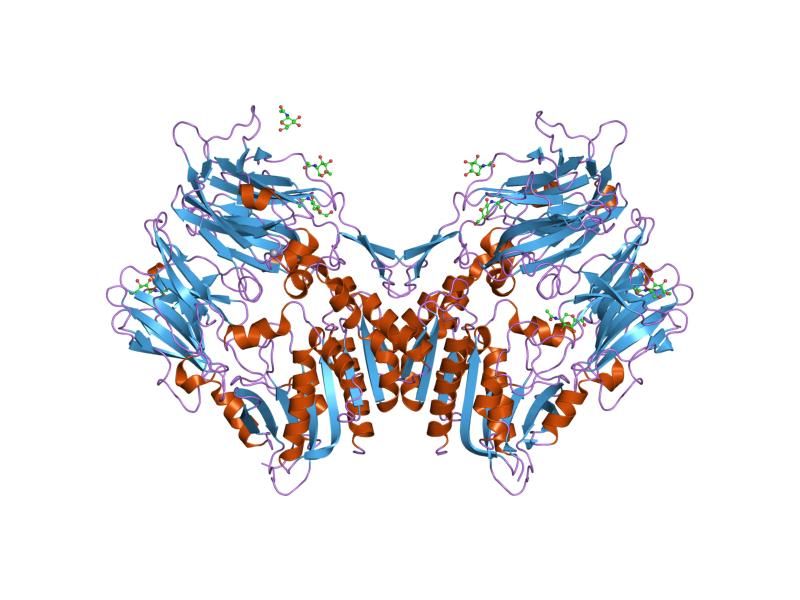 File:PDB 1nu6 EBI.jpg