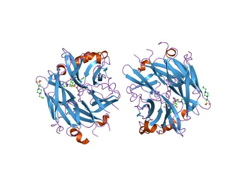 File:PDB 1vcu EBI.jpg