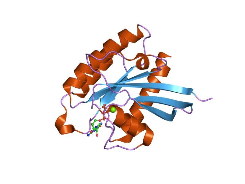 File:PDB 1xtq EBI.jpg