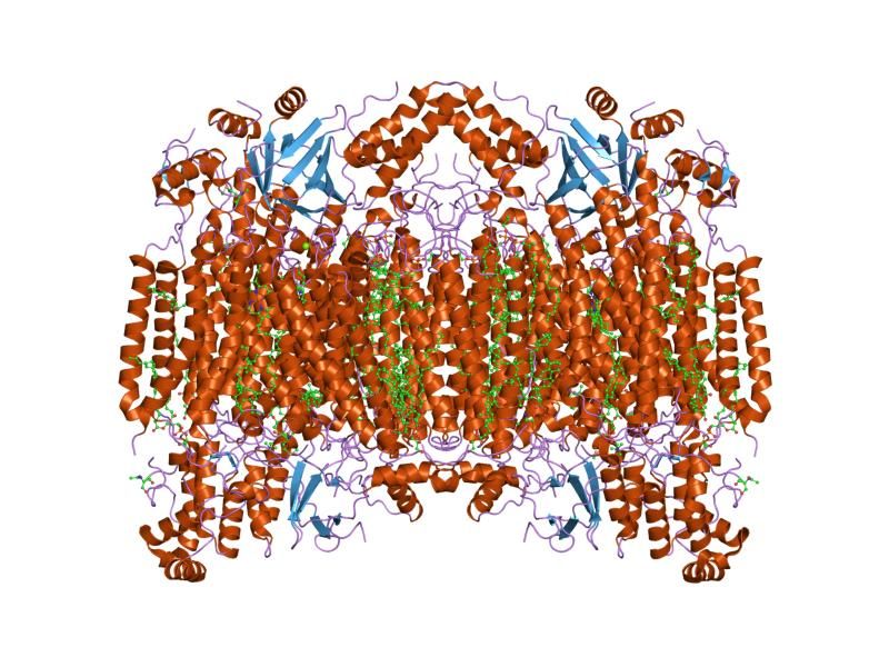 File:PDB 2eij EBI.jpg