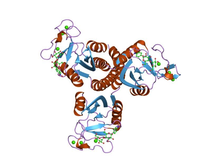 File:PDB 2ggx EBI.jpg