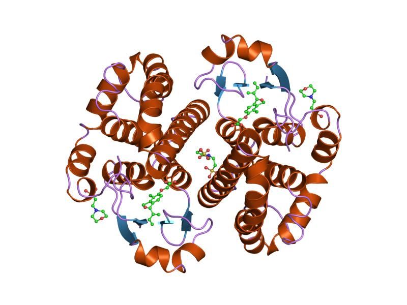 File:PDB 2gss EBI.jpg