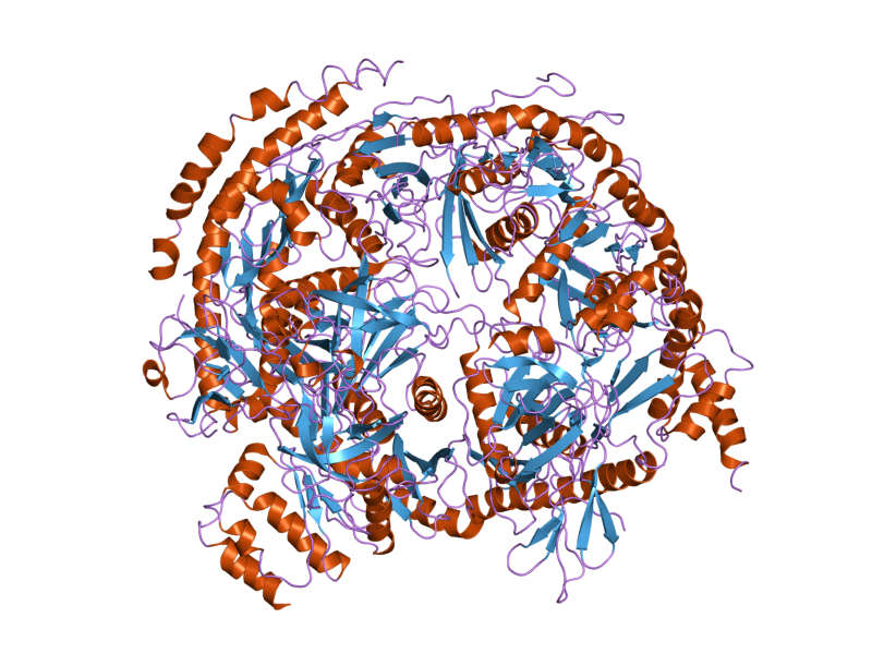 File:PDB 2nn6 EBI.png